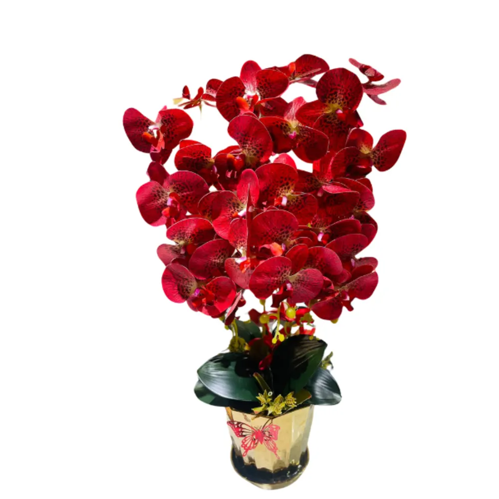 Orchid vase red color