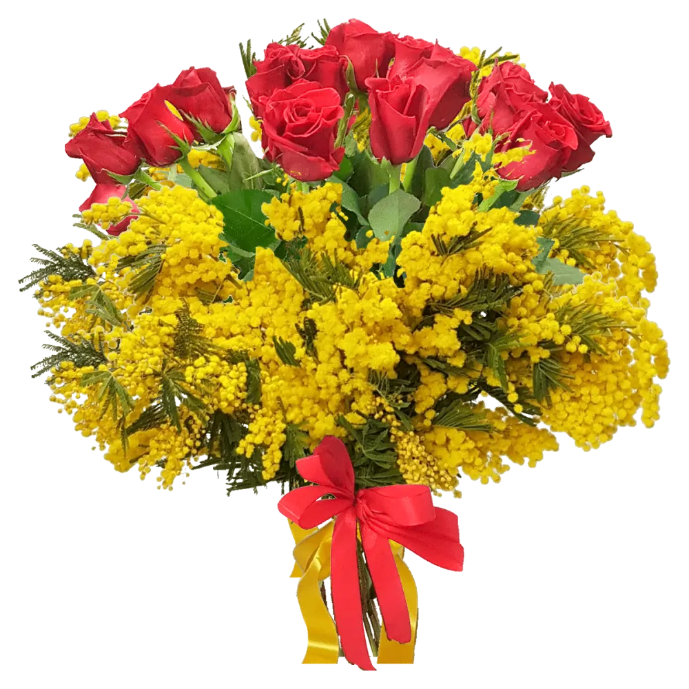 Mimosa : BD Fiorista| Milano