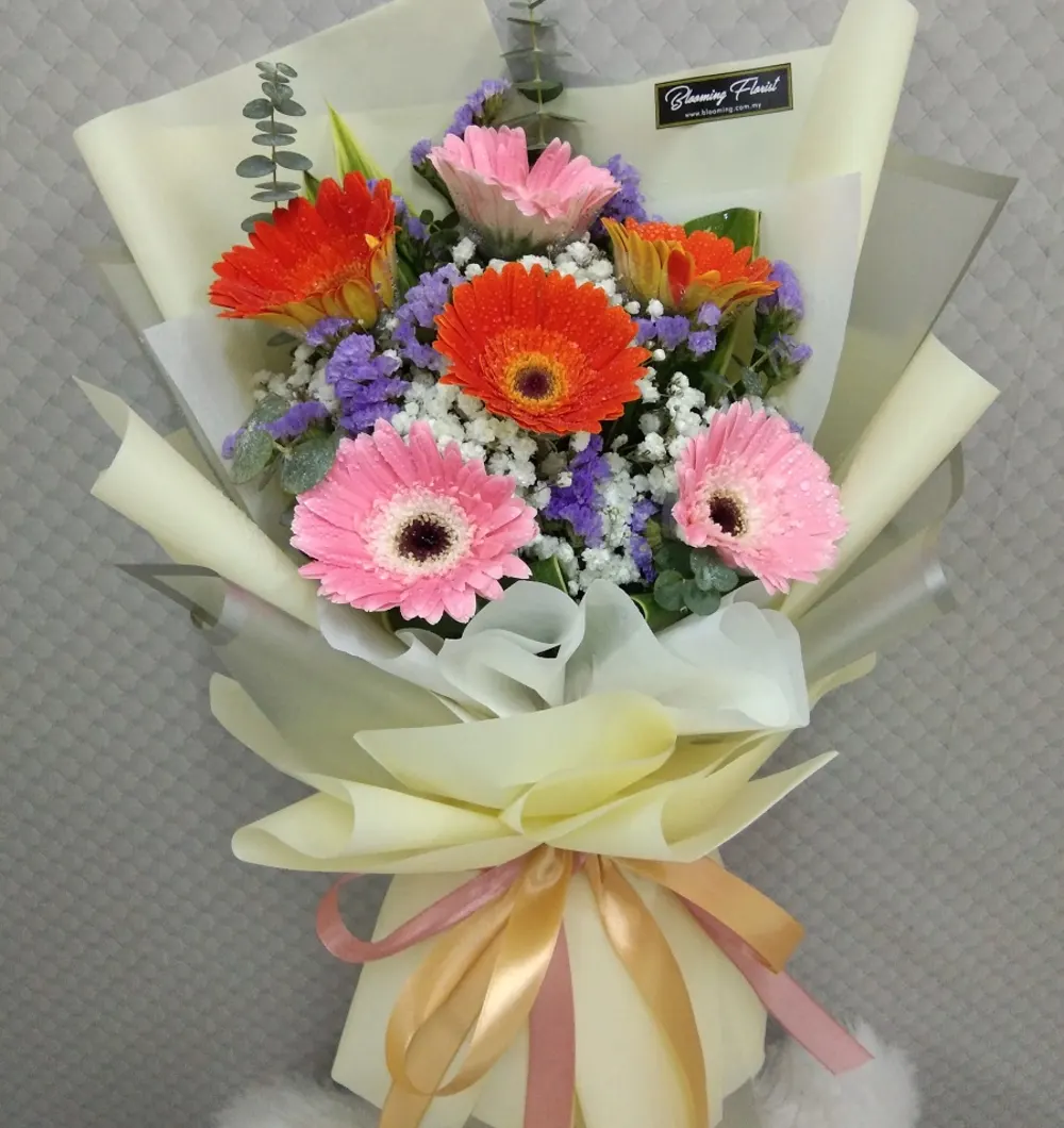 6 mixed daisy in a hand bouquet