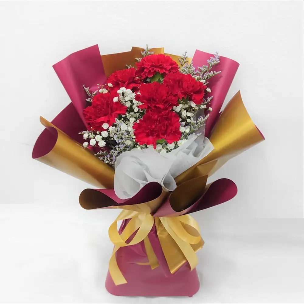HCR0601 Red Carnation Hand Bouquet
