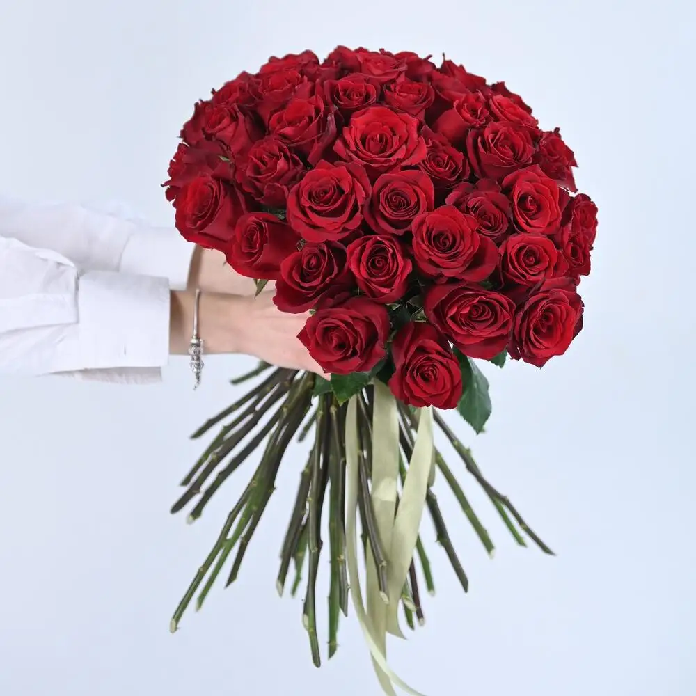 51 Красная Премиум Роза