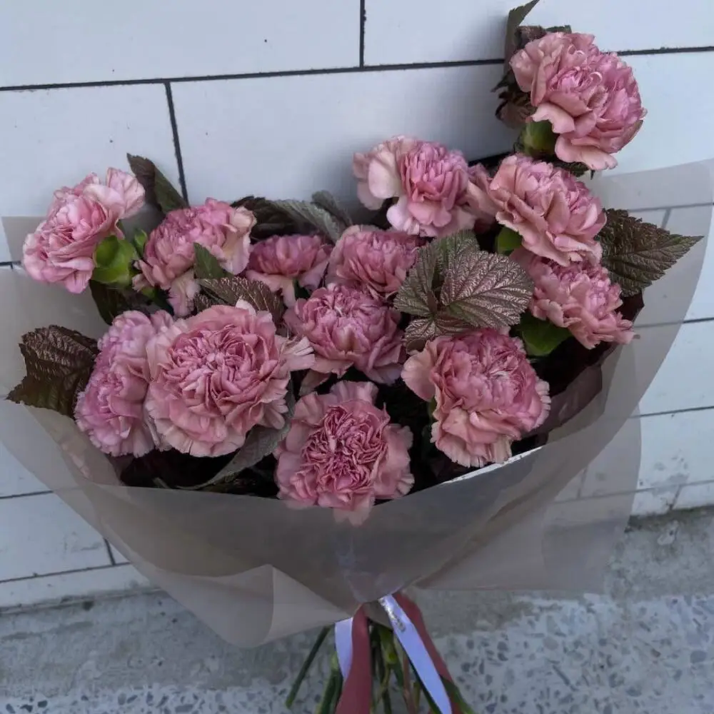 Моно Диантусов00