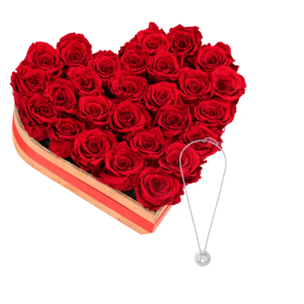 Special  gifts for valentine.Necklace 2