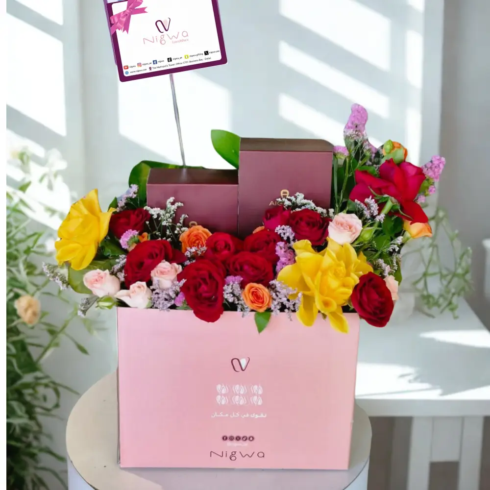 nigwa box new style 3