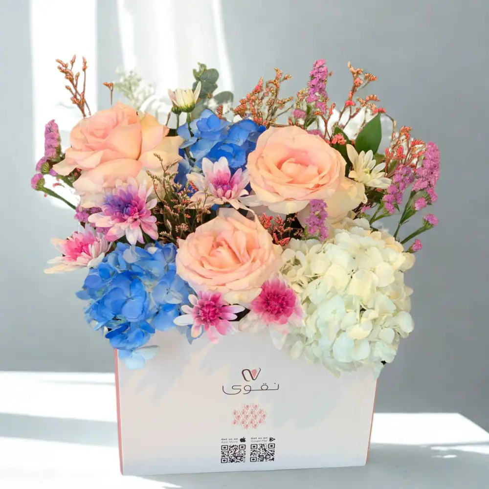 nigwa box new style 4