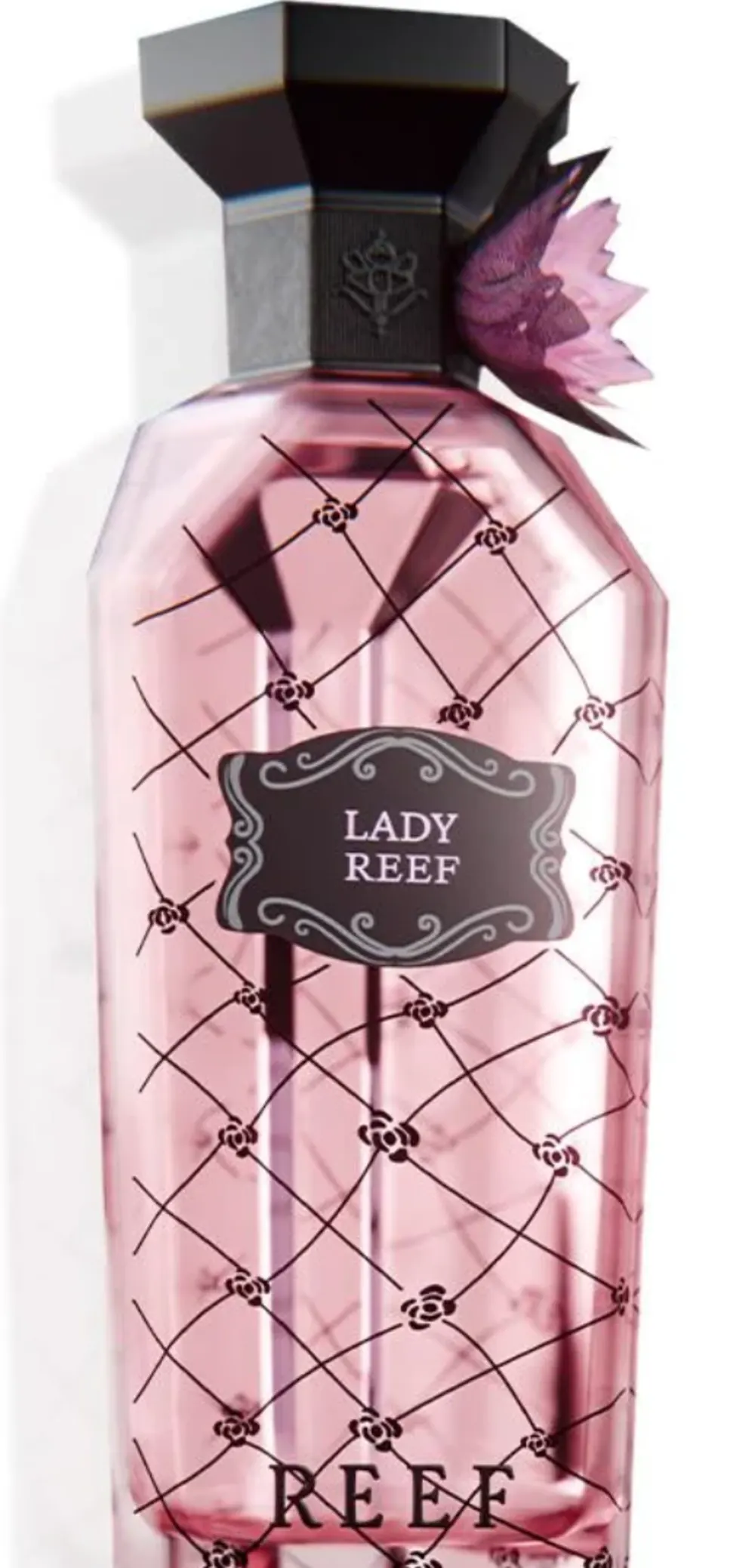 Lady Reef. 1