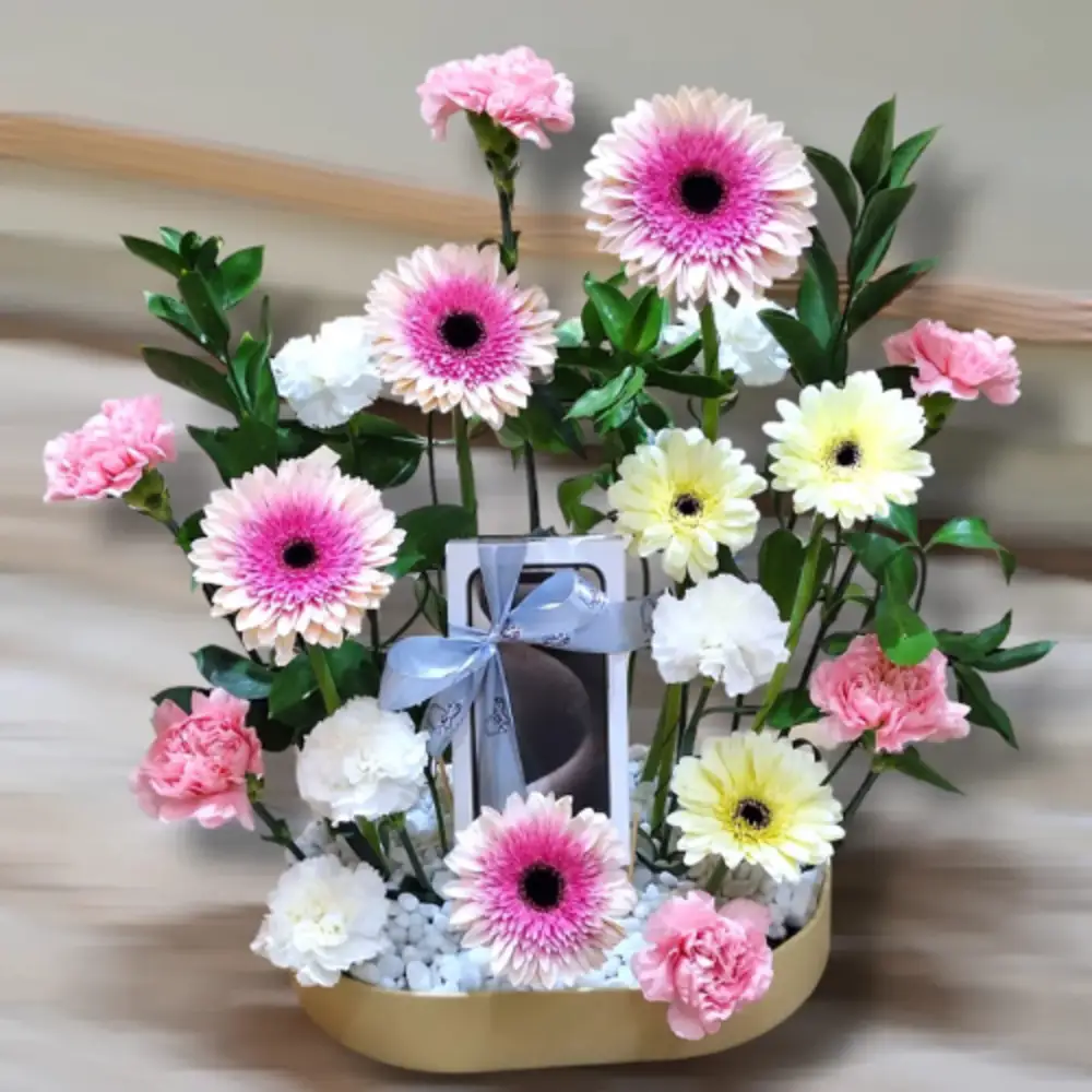 iPhone 17 Pro Max GIFT