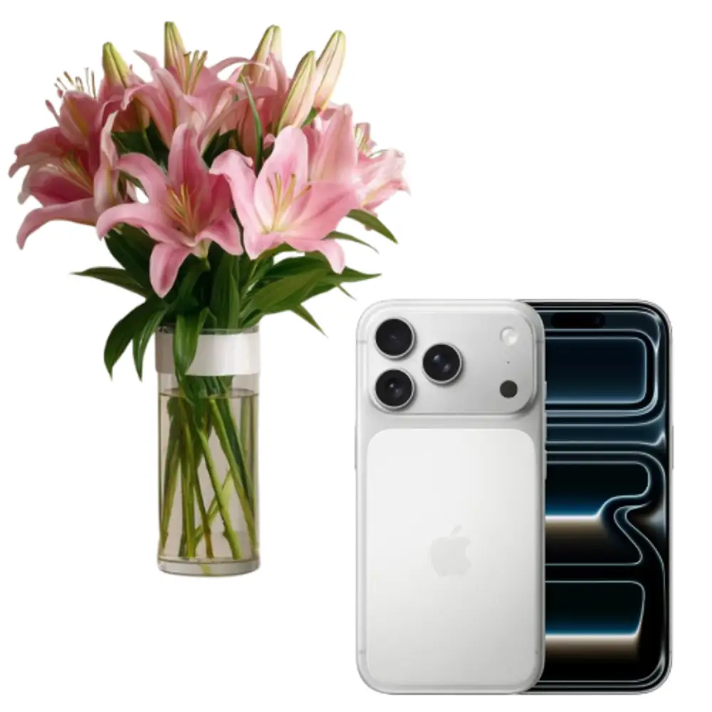 Apple iPhone 17 Pro Max Silver