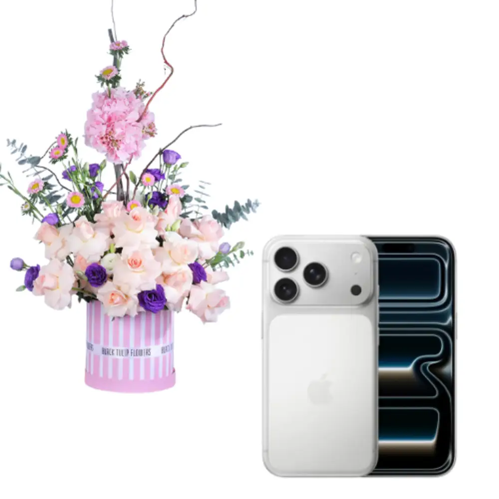 Apple iPhone 17 Pro – Silver