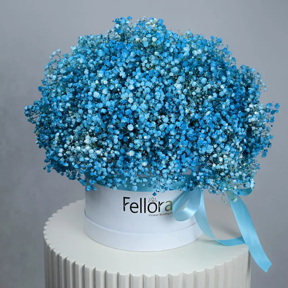 Blue Gypsophilia in White Round Box - 570