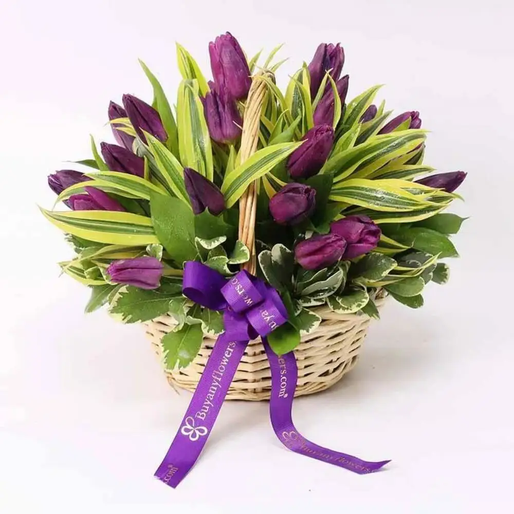 Valentine’s Garden