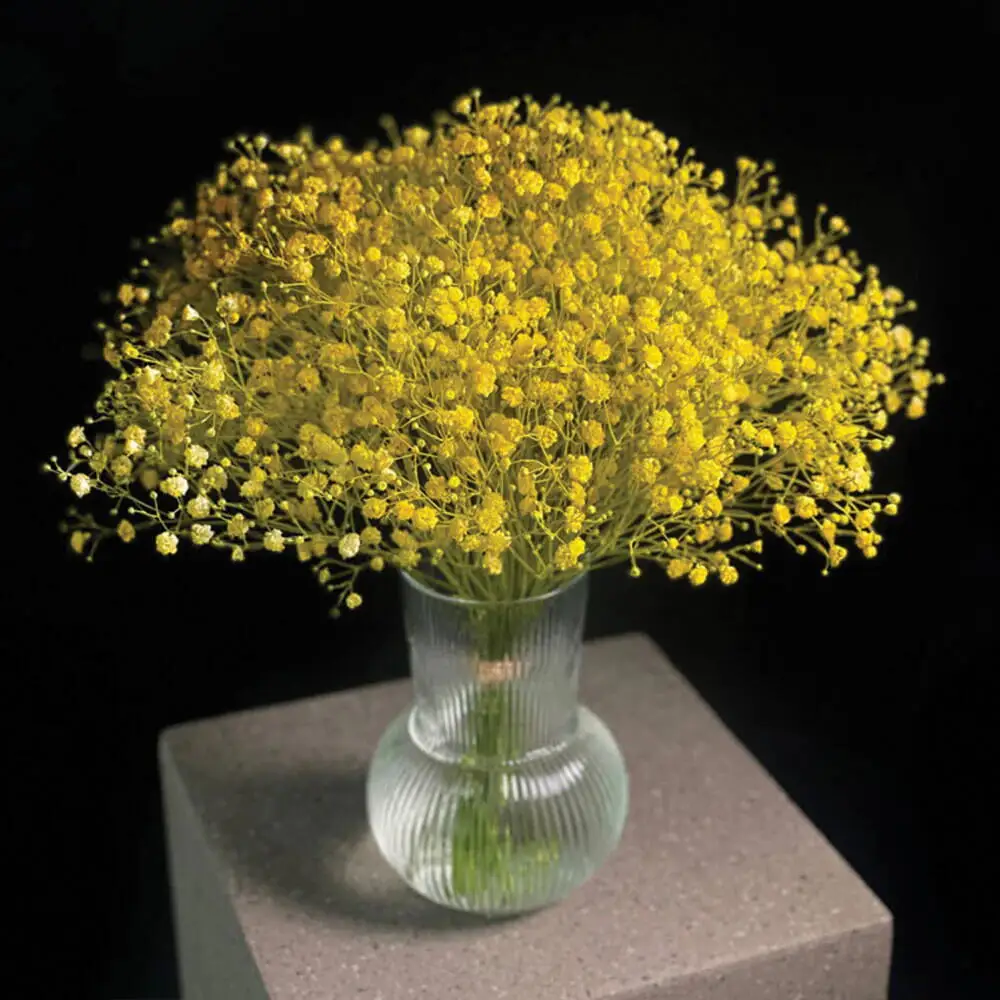 Vase of