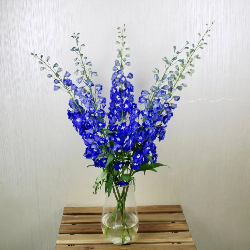 Blue Delphinium Vase 1116