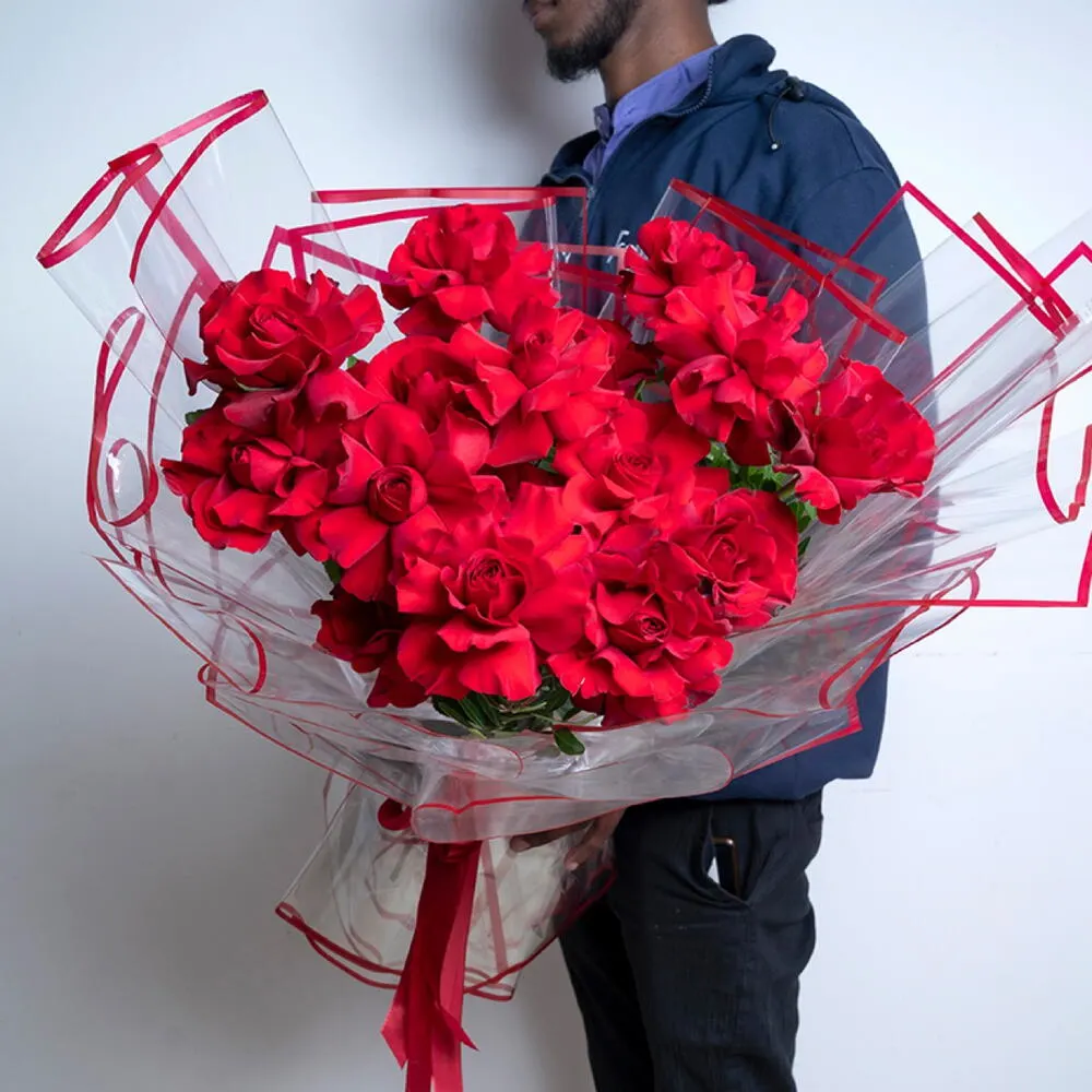 Striking Red Rose