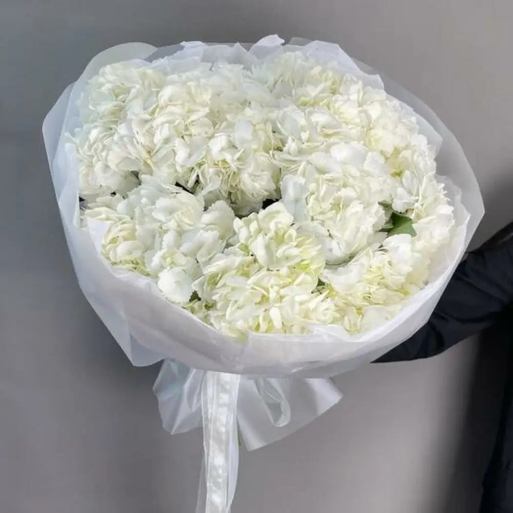 Grand White Hydrangea Bouquet - 1981