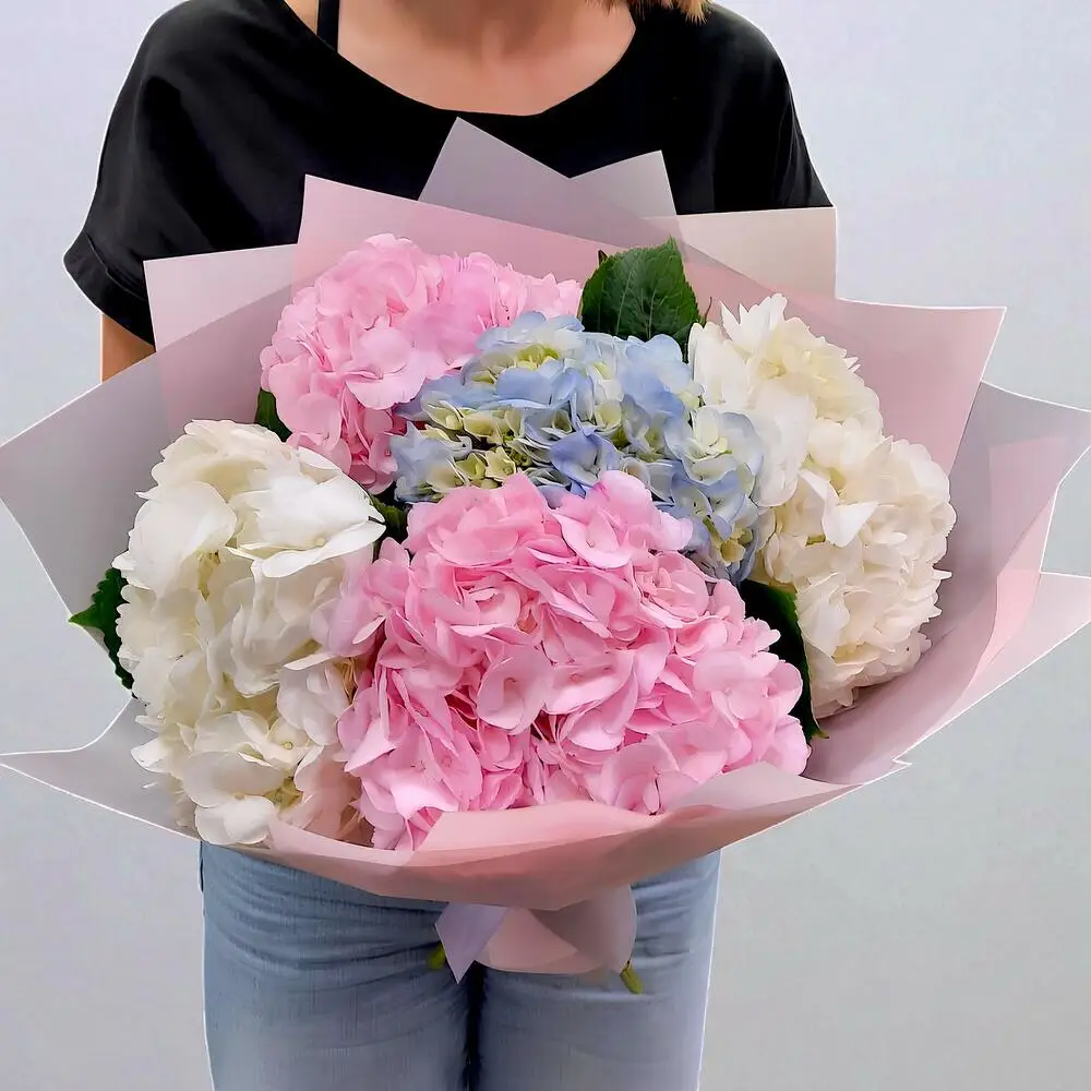 5 Hydrangea Bouquet
