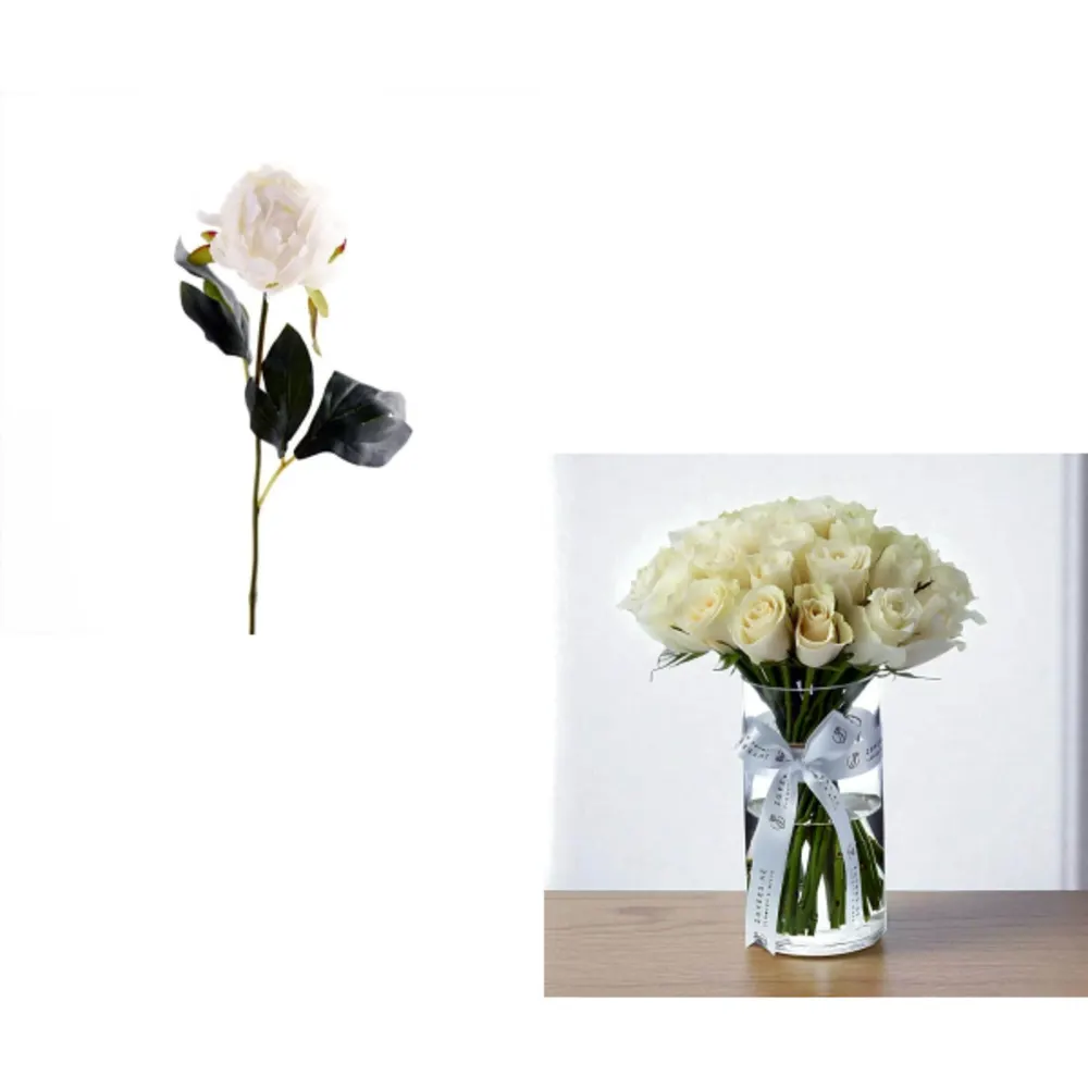 peony Bundle 6956undefined