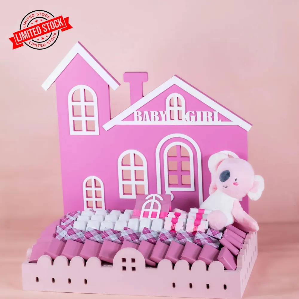 Baby girl house gift