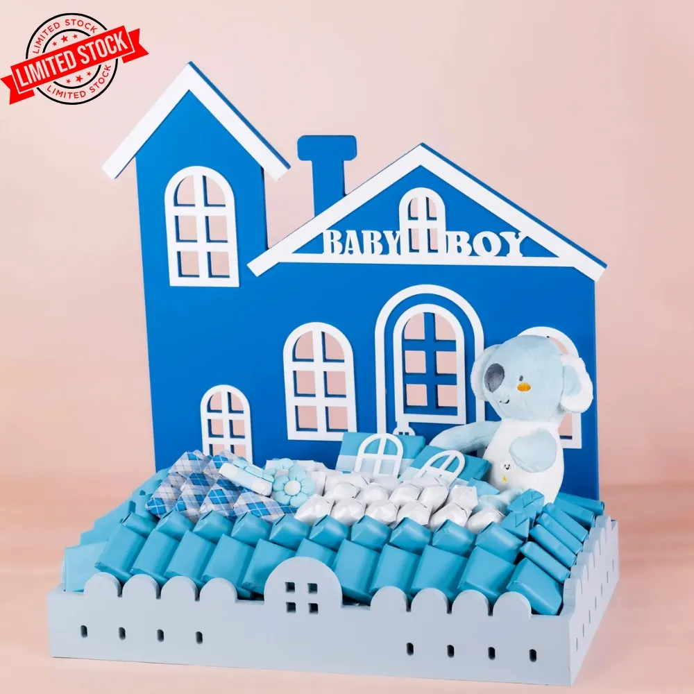 Baby boy house gift
