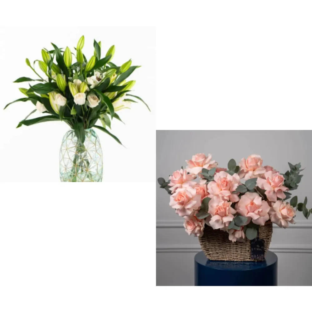 Transparent Bundle 9088undefined