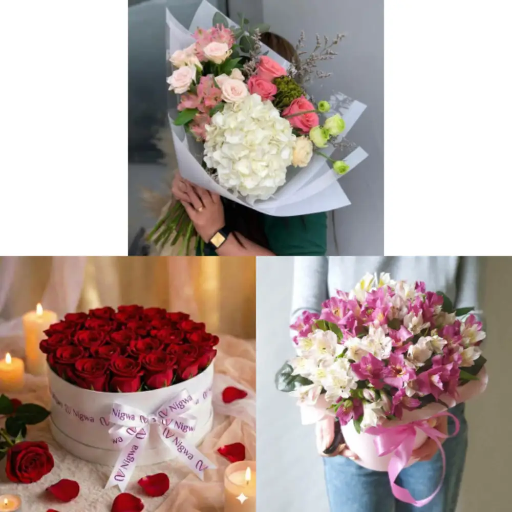 Light Bundle 3186undefined