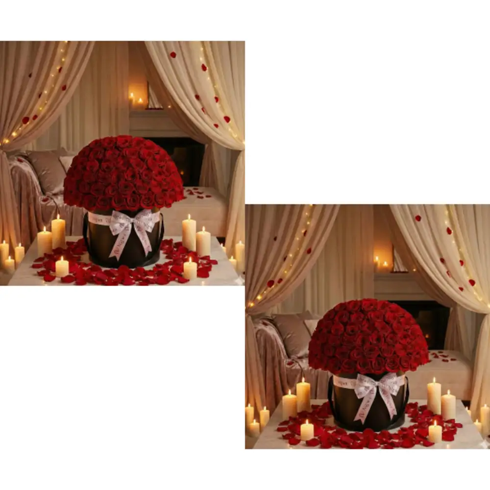 Box Bundle 9941undefined