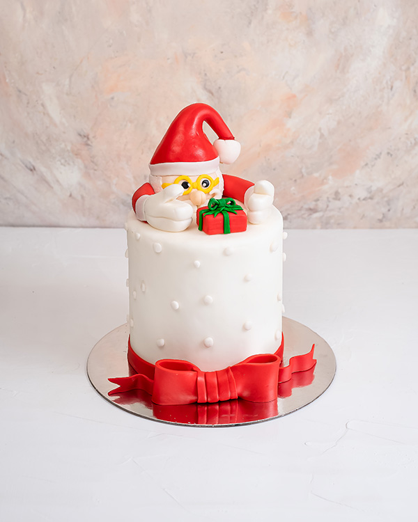 Santa Cake byNJD view 4