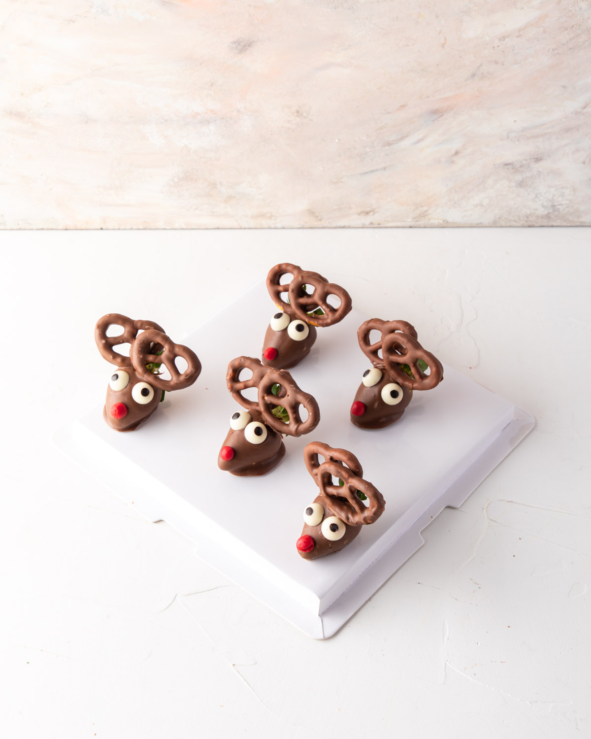 Chocolate Strawberry Reindeer by NJD view 5