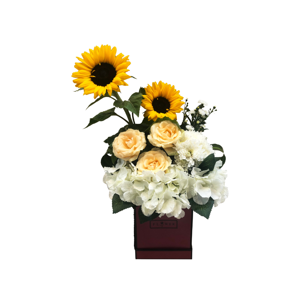 Carefree Gift package view 5