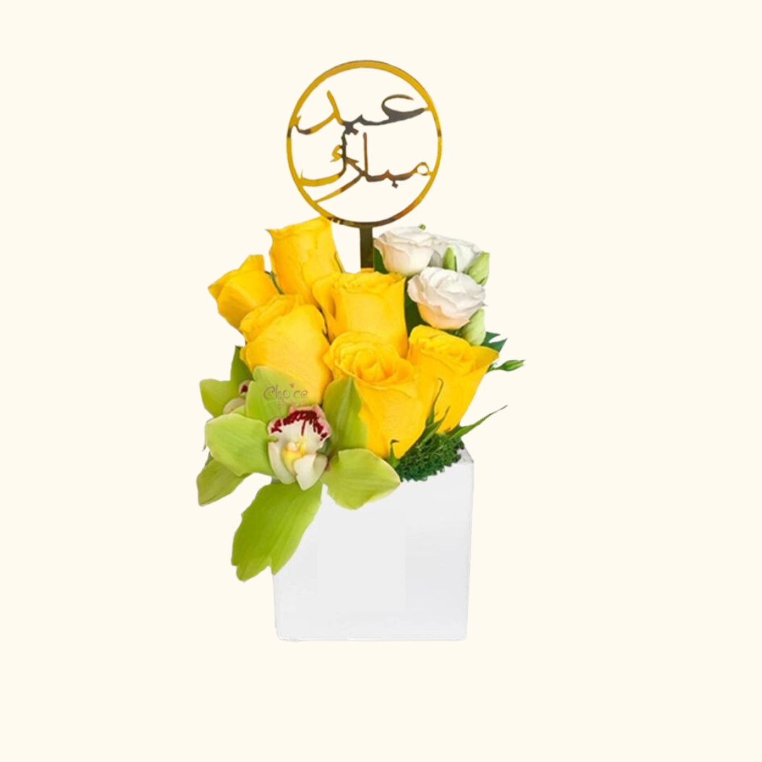 Treat Me (Favors) view 4
