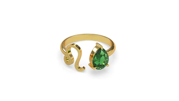 Stargazing Ring- Leo view 4
