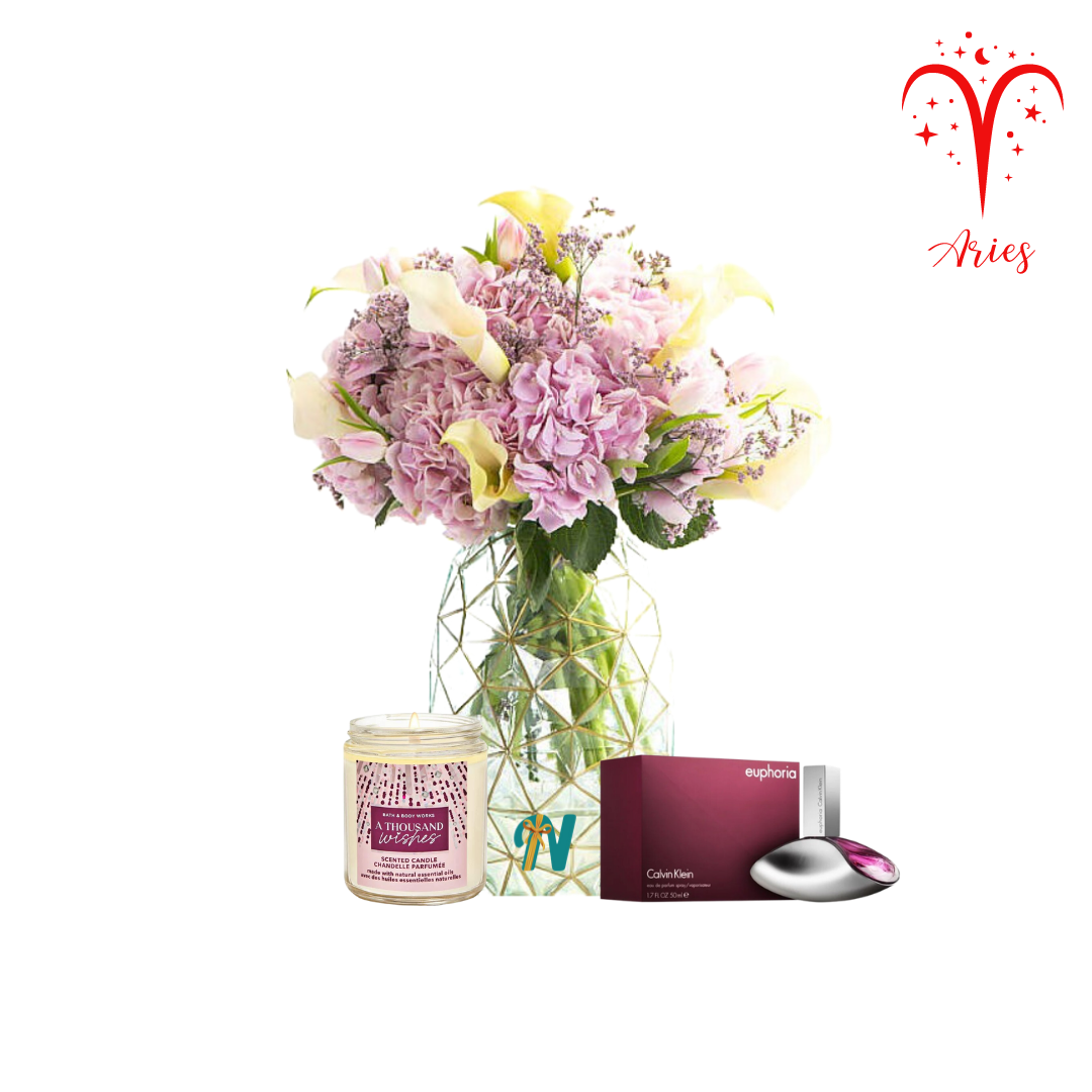 Aries Women view 1