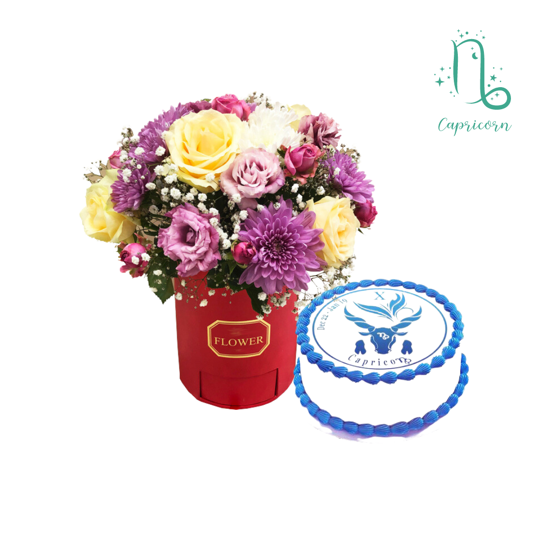 Capricorn gift view 1