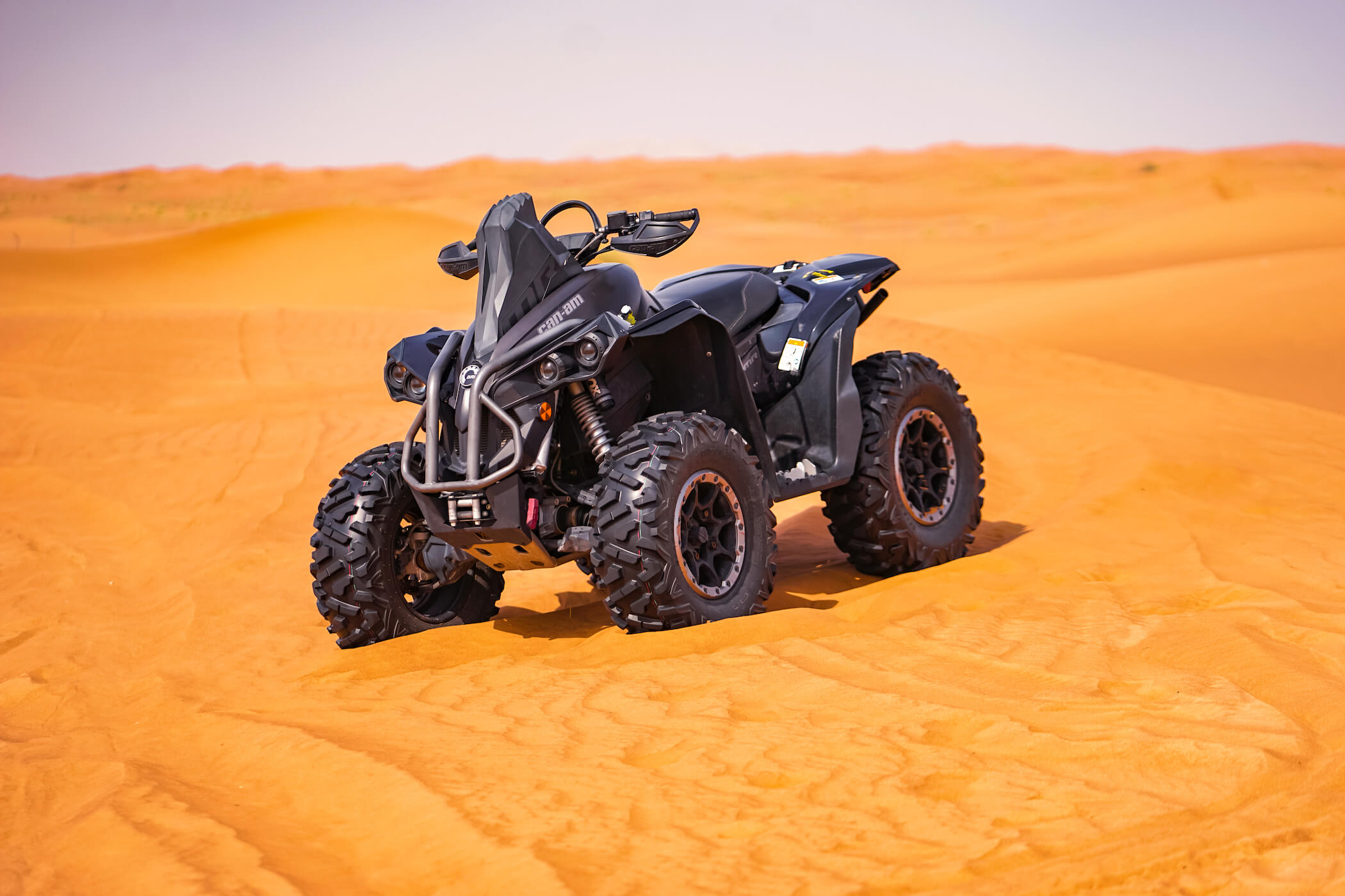 Quad & Buggy view 5