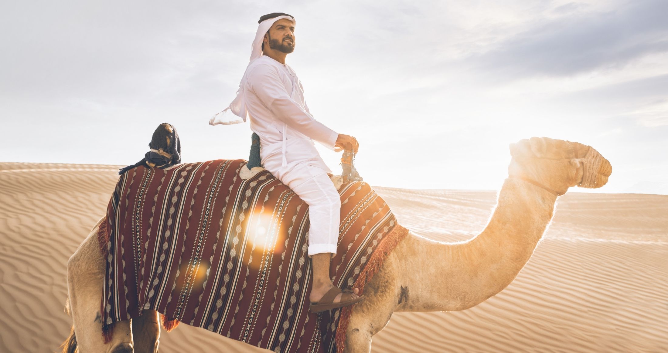 Camel ride view 5