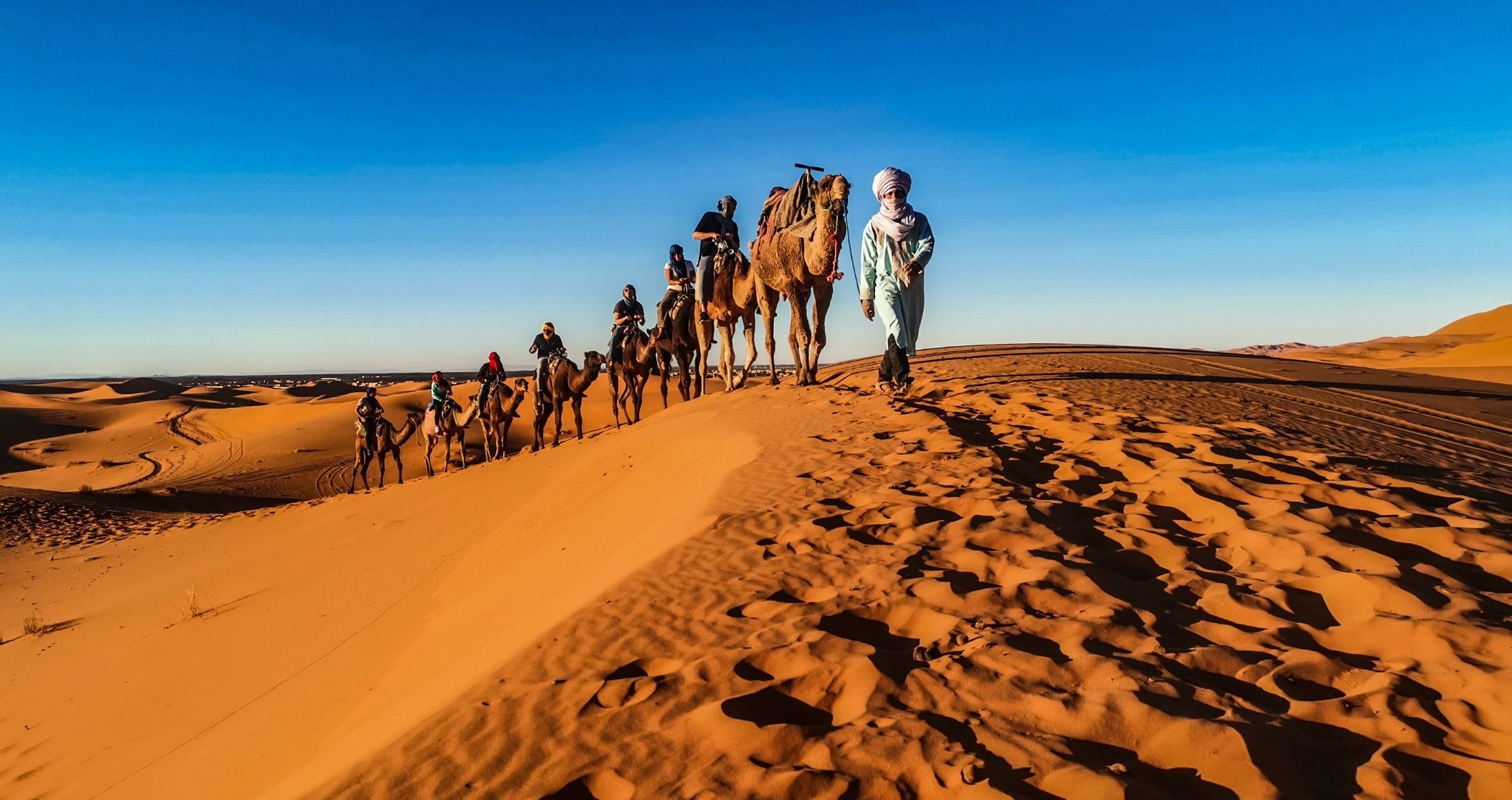 Camel ride view 6
