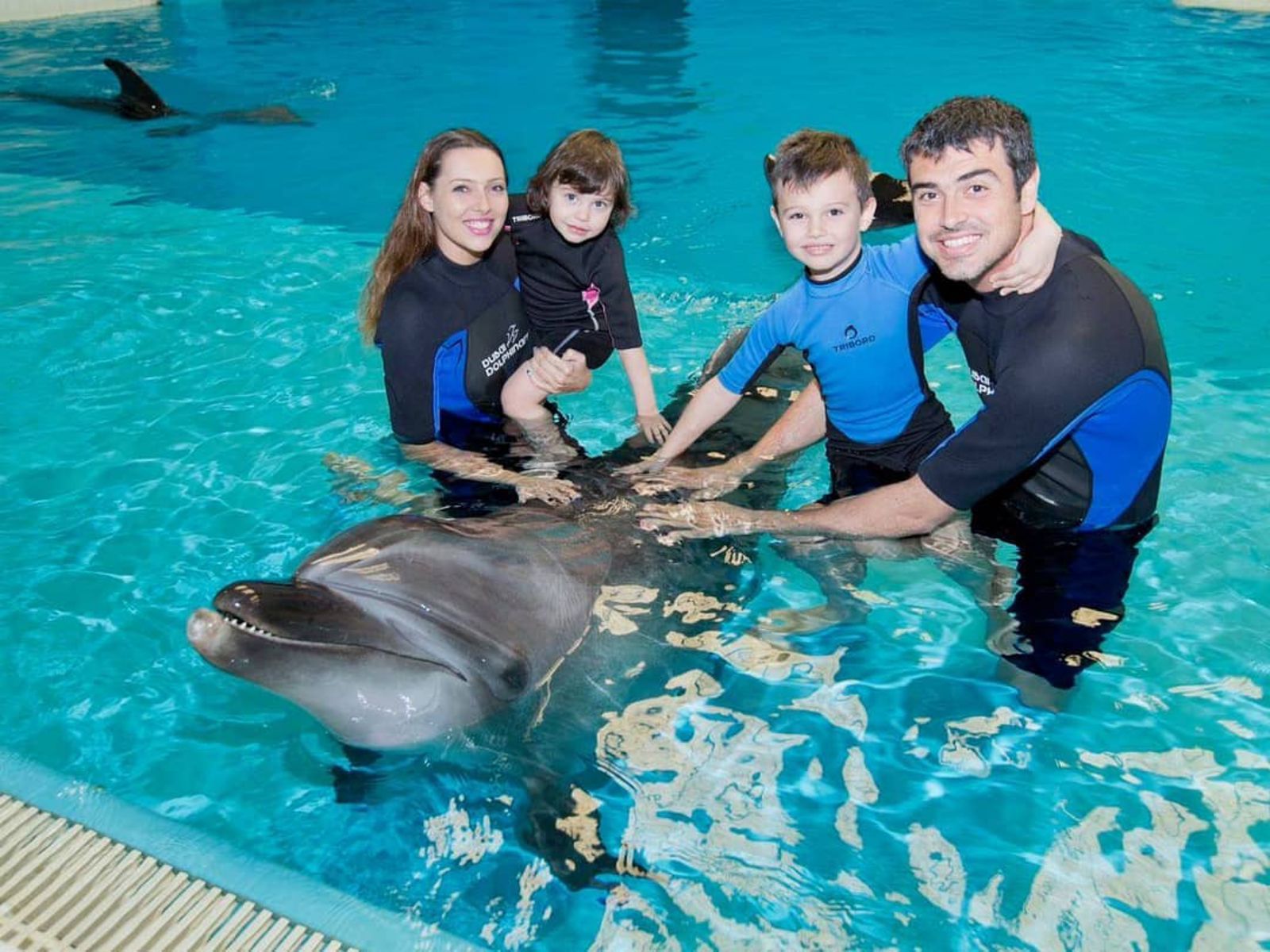 Swim with dolphins view 5