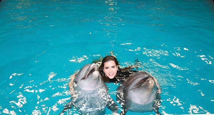 Swim with dolphins view 4