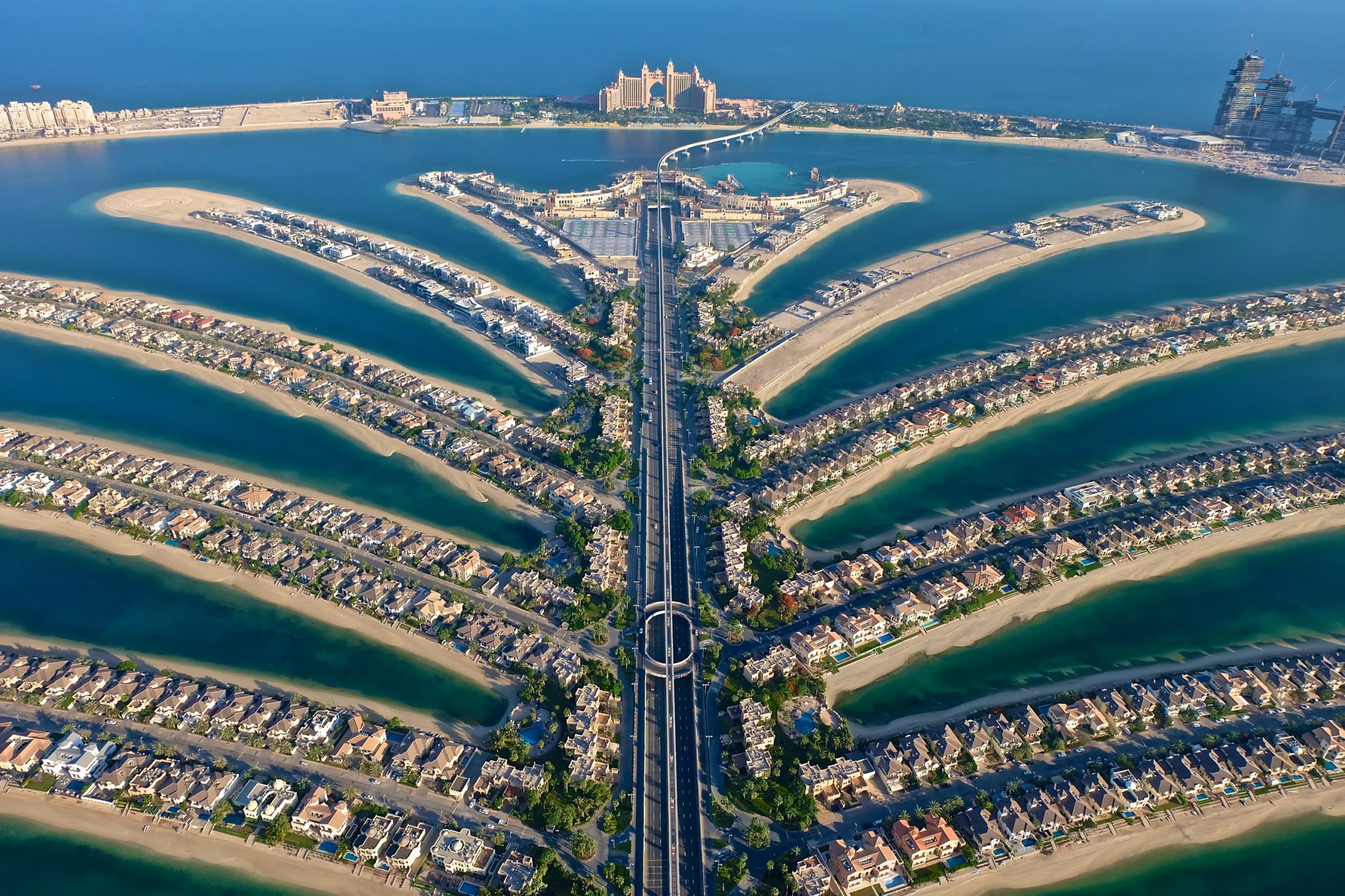 Palm View view 1