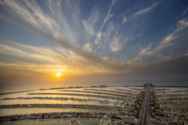 Palm View view 4