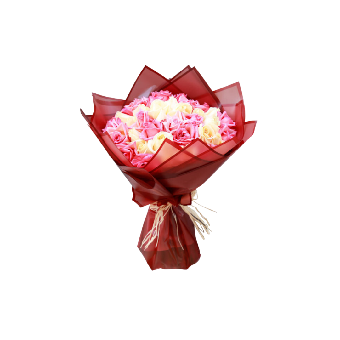Nigwa Gift Bundle 4 view 4