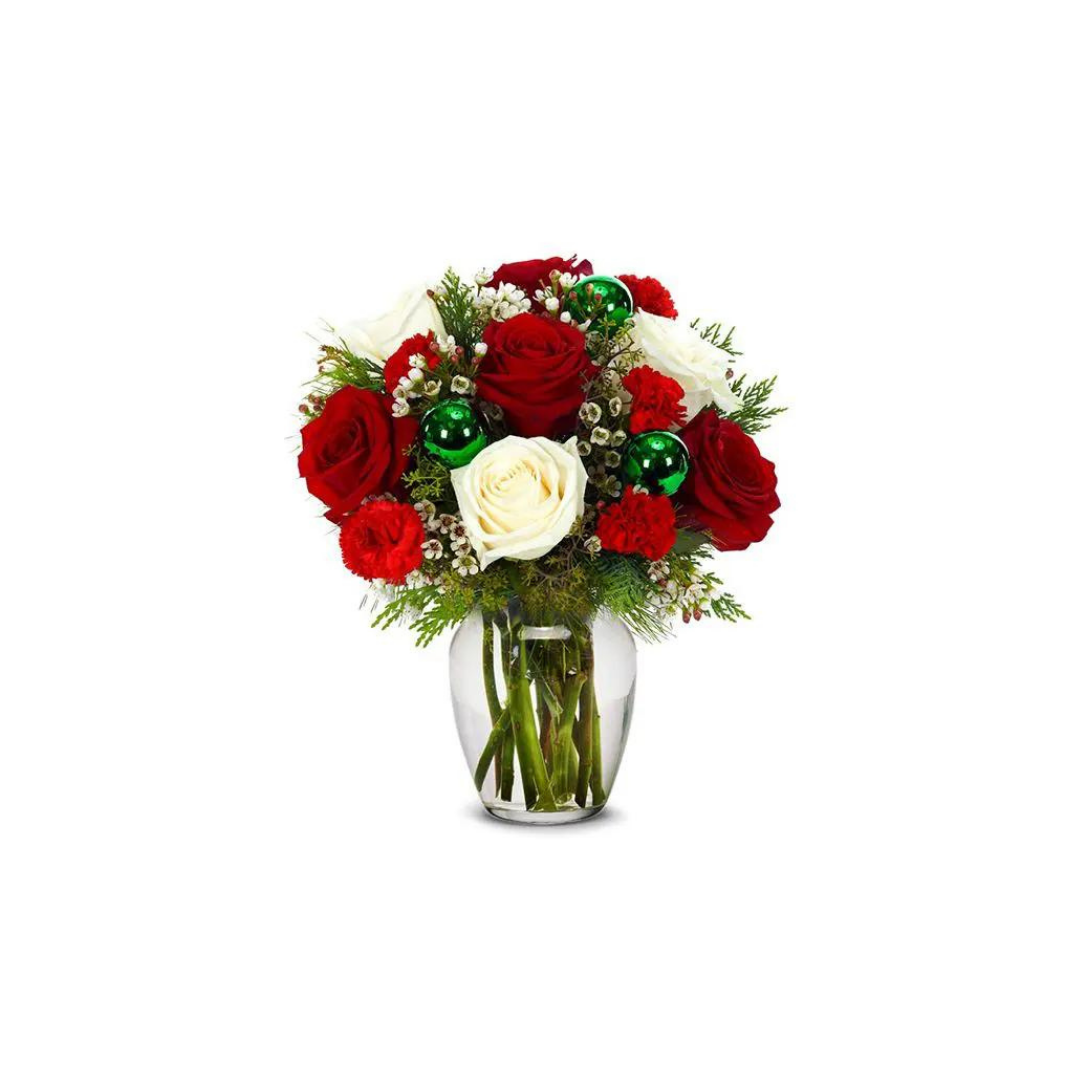 Nigwa Gift Bundle 8 view 4