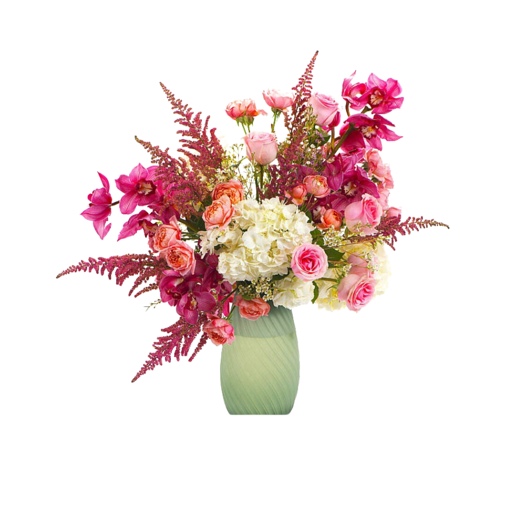Nigwa Gift Bundle 16 view 4