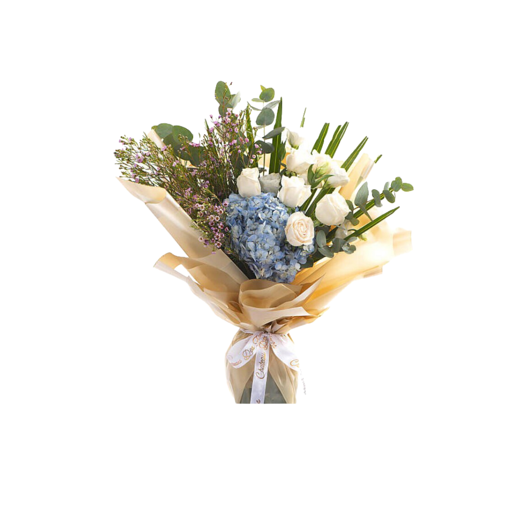 Nigwa Gift Bundle 28 view 4