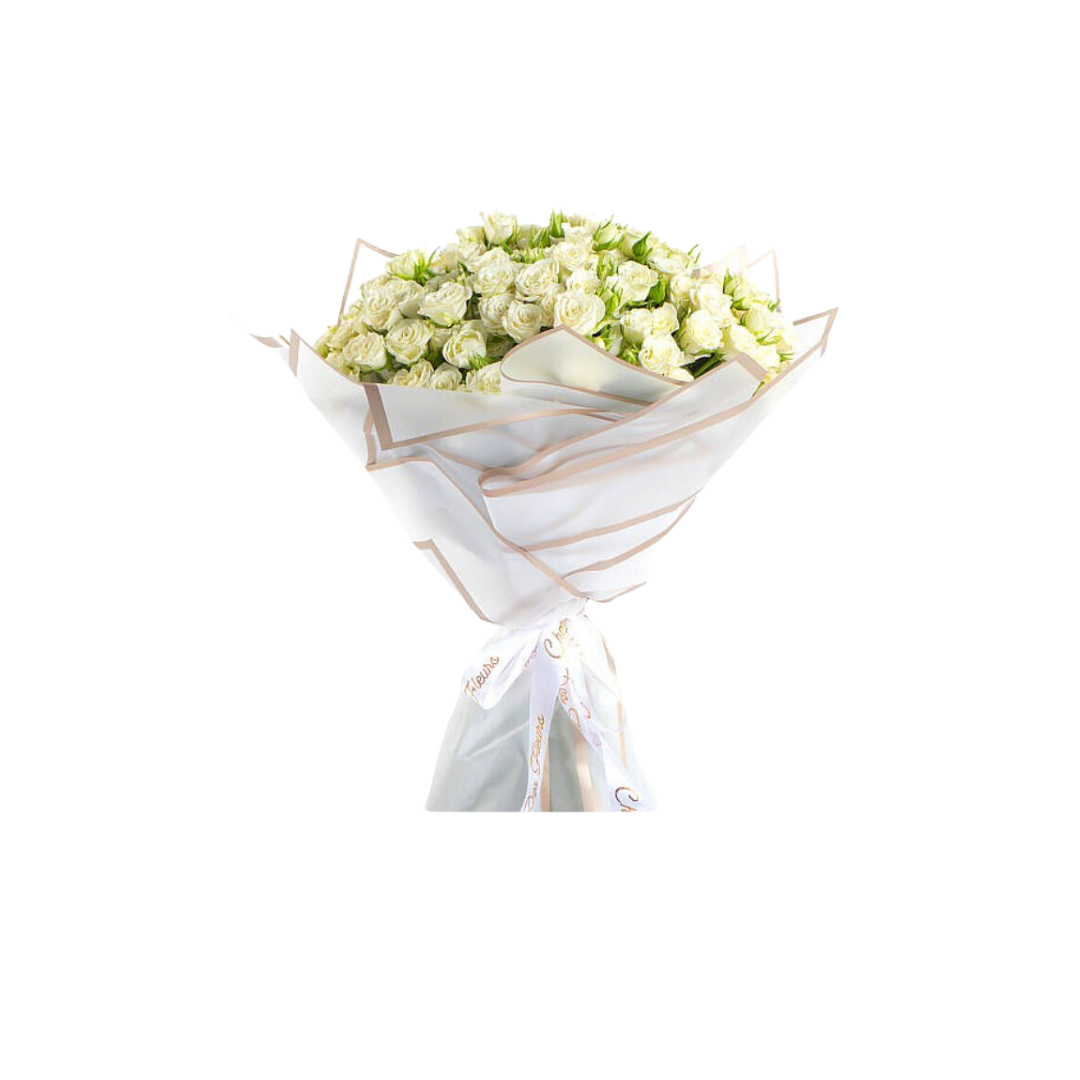 Nigwa Gift Bundle 31 view 4