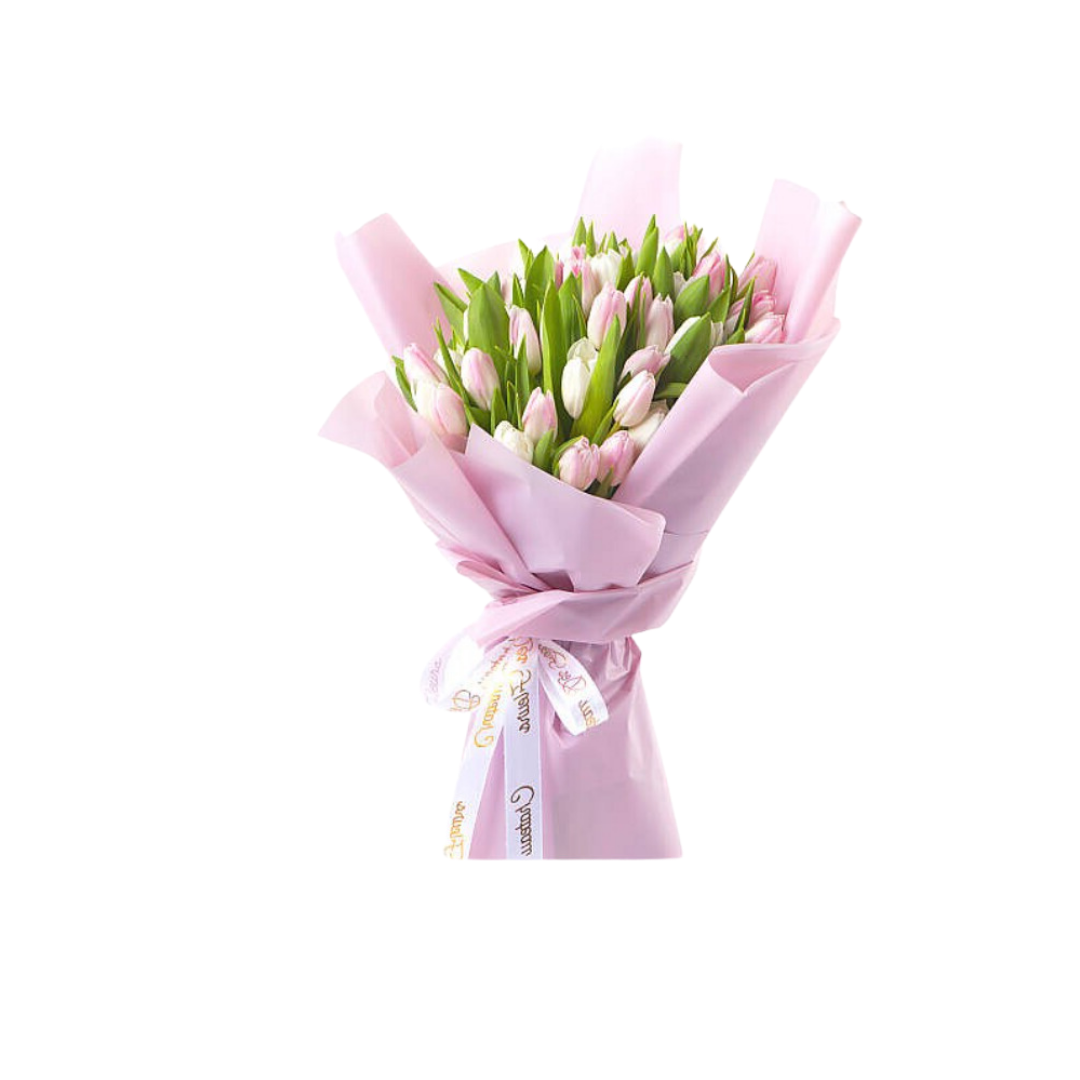 Nigwa Gift Bundle 32 view 5