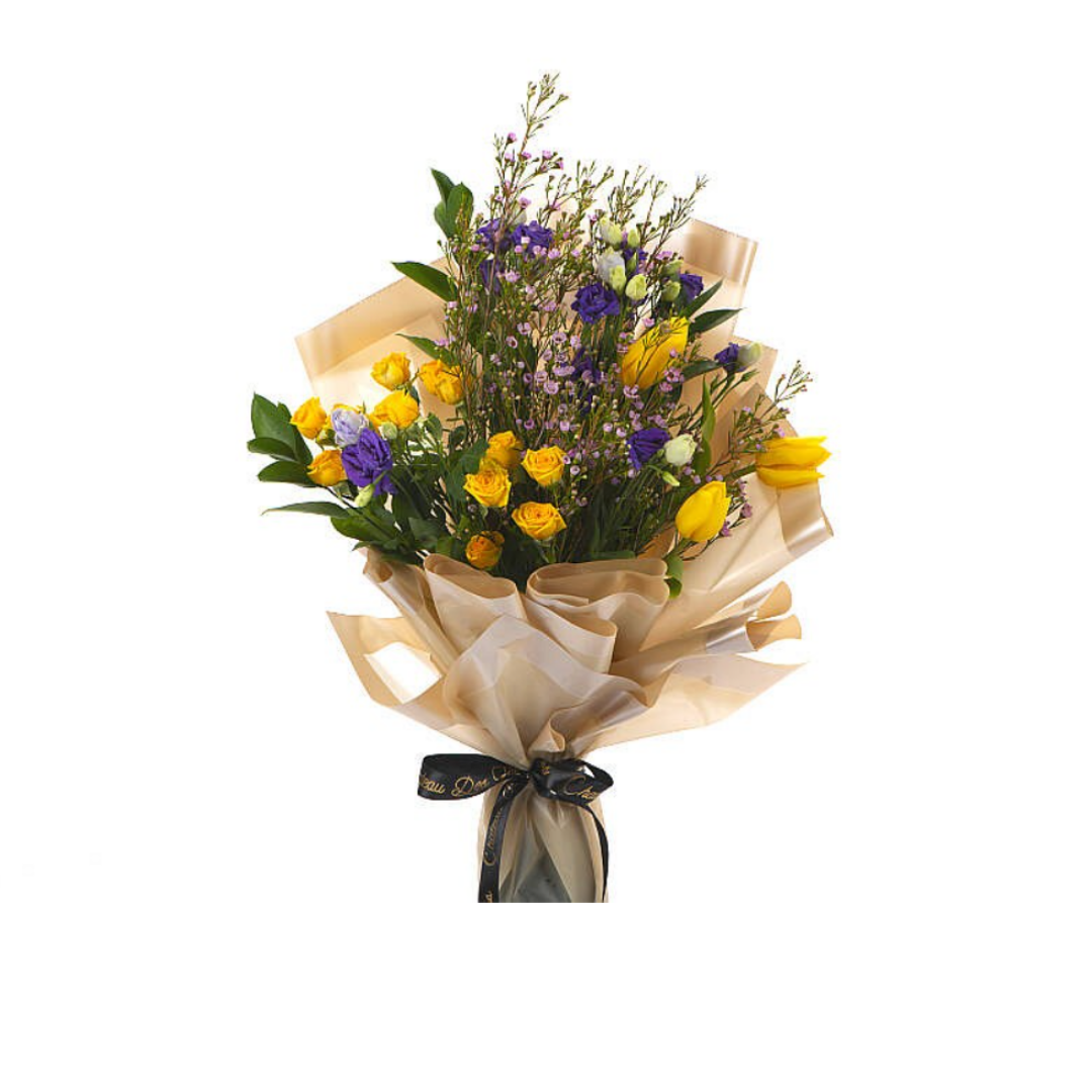 Nigwa Gift Bundle 33 view 5