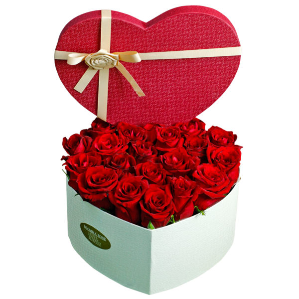 Aigner gifts  15 view 5