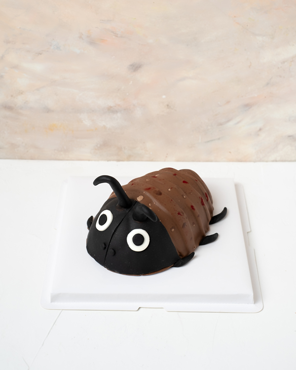 Edible Roach Anyone By NJD view 1