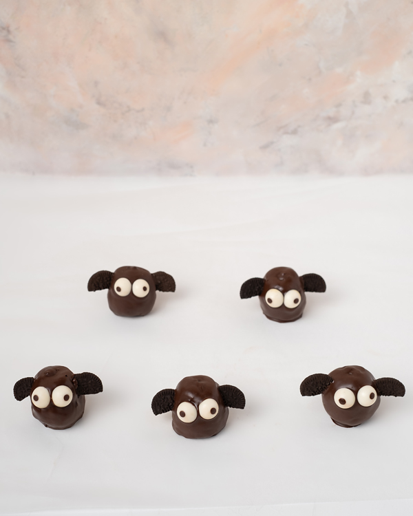 Chocolate Bat Cake Pops by NJD view 1